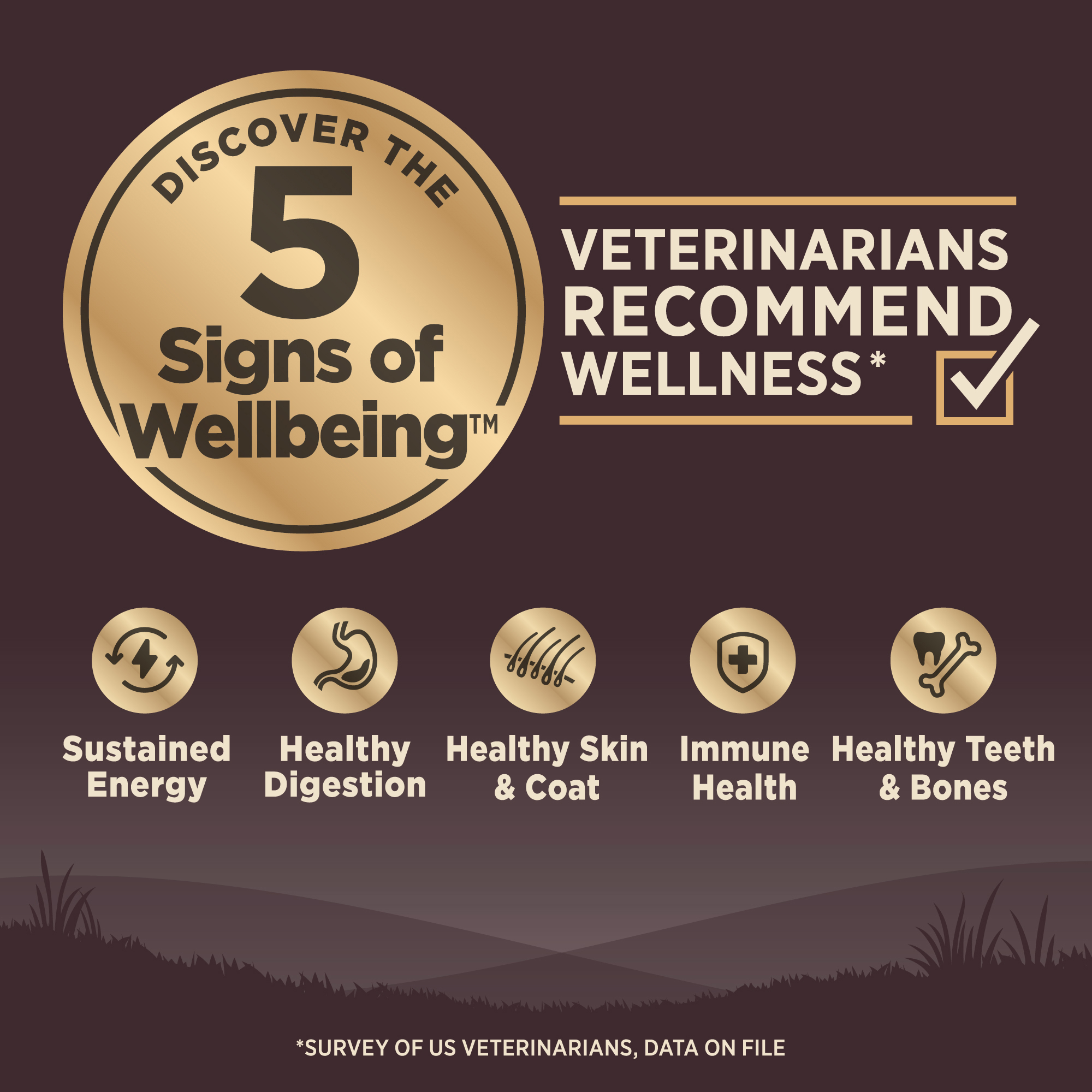 Wellness CORE Dog 10kg (22lb) Wild Game Grain Free Dry Dog Food image 3