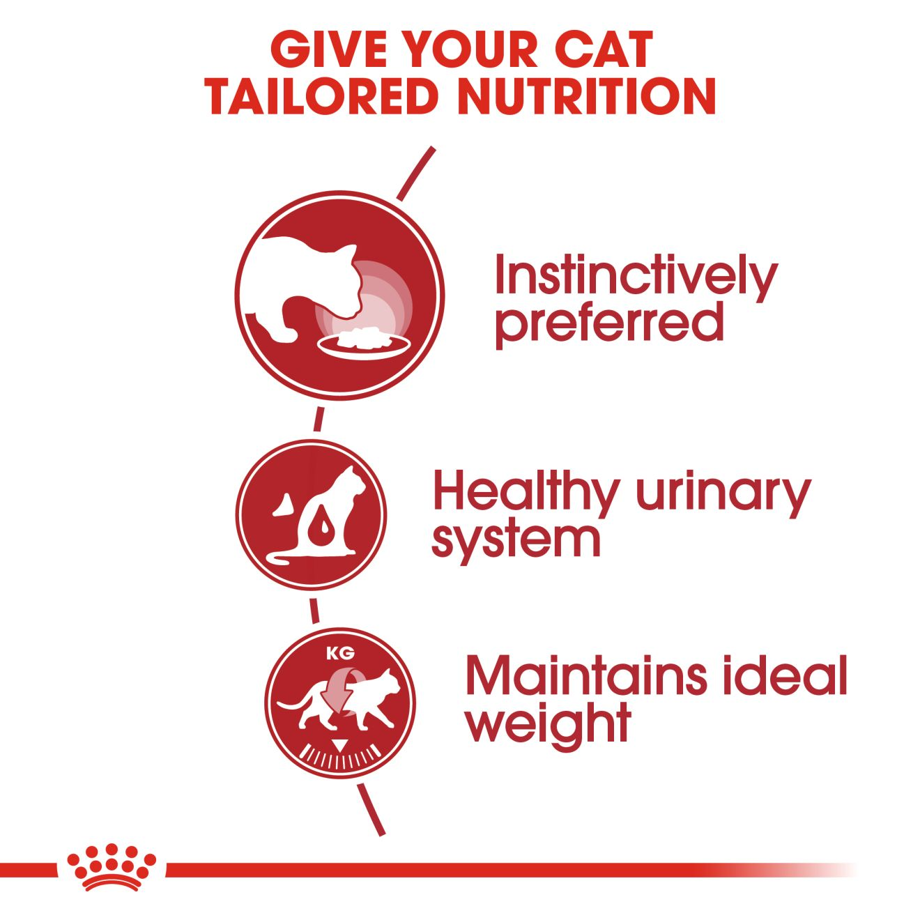 Royal Canin Cat Pouch 85g Adult Instinctive Wet Cat Food image 6