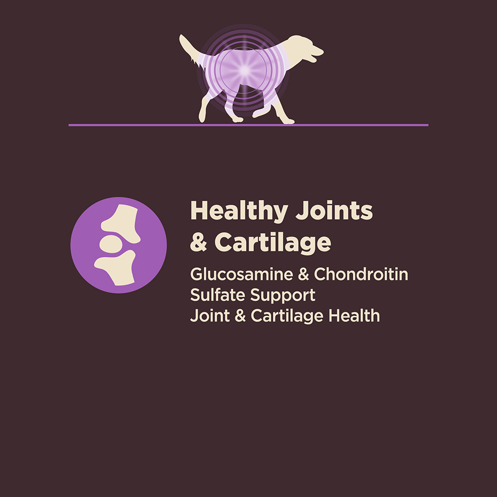 Wellness CORE Dog 1.8kg (4lb) Digestive Health Age Advantage Chicken & Brown Rice Dry Dog Food image 6