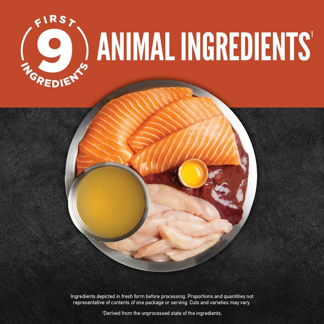Orijen Cat 85g Chunks & Shreds Salmon & Chicken Entree Wet Cat Food image 5