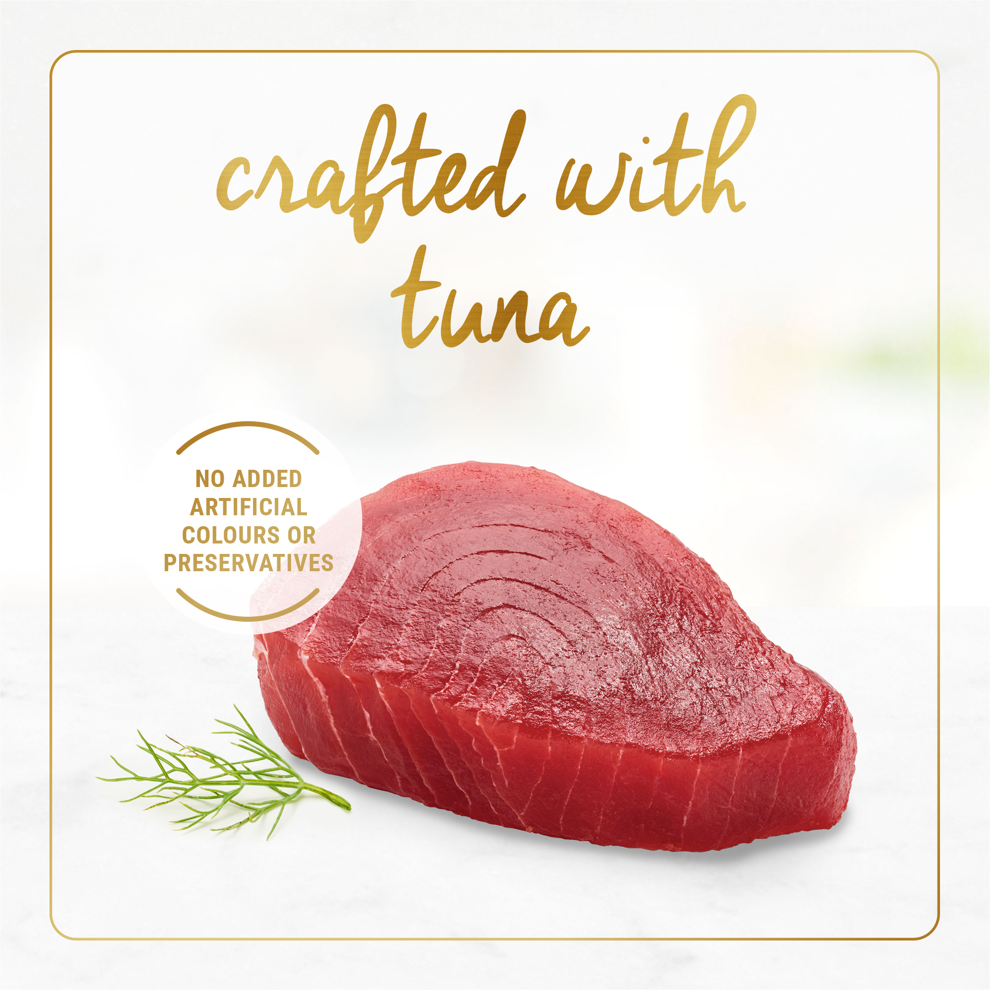 Fancy Feast Cat 85g Grilled Tuna In Gravy Wet Cat Food image 5