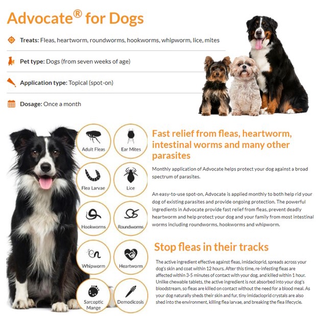 Elanco Advocate Dog 3x0.4ml Spot-on Solution for Small Dogs (Up to 4kg) image 4