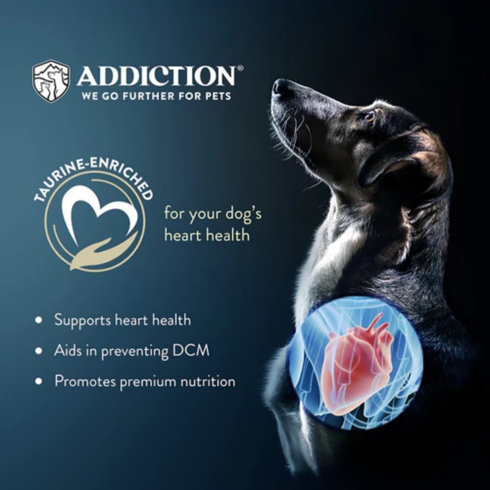 Addiction Dog 60g Zen Vegetarian Dry Dog Food (Sample) image 3