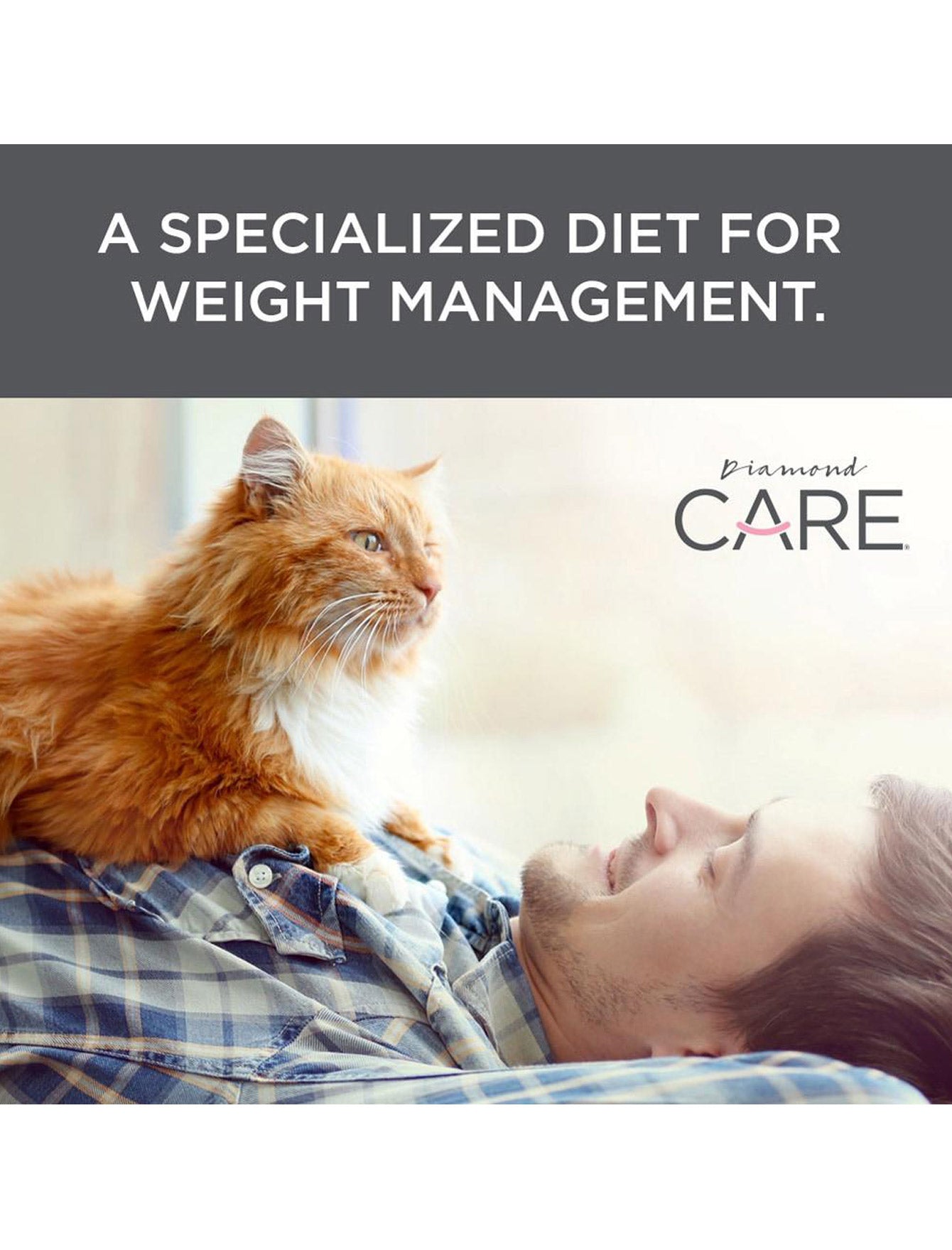 Diamond Care Cat 6lbs Weight Management Formula For Adult Dry Cat Food image 6