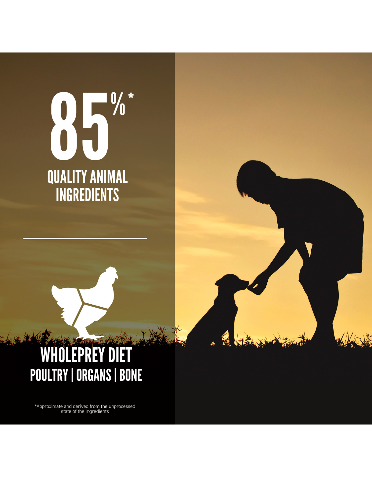 Orijen Dog 1.8kg Puppy Small Breed Dry Dog Food (EXP: 30 Nov 2026) image 3