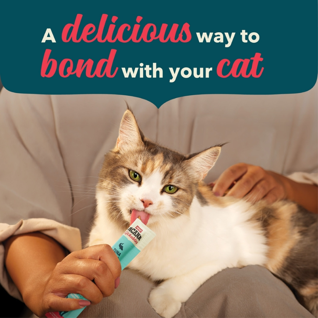 Acana Cat 14gx5 Lickables Tuna Cat Treat image 3