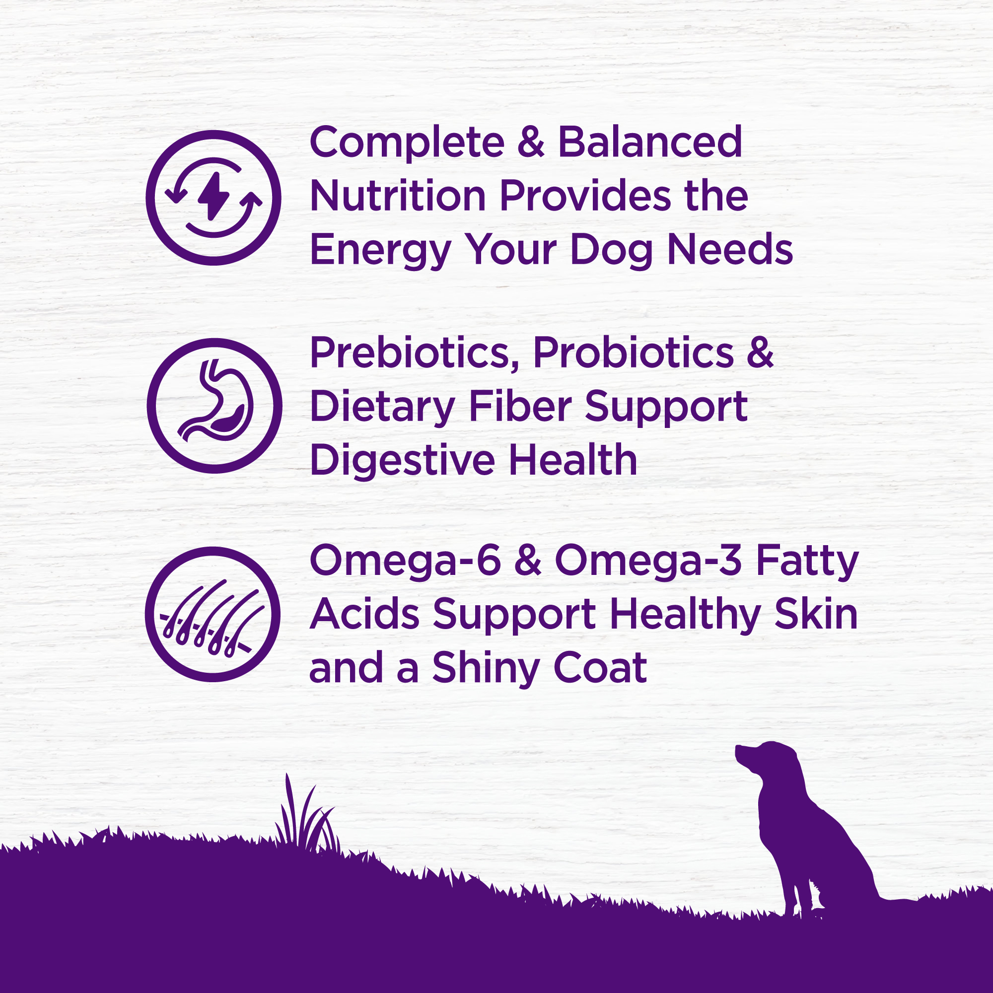 Wellness Complete Health Grain Free 24lb (10.9kg) Lamb & Lamb Meal Dry Dog Food image 3