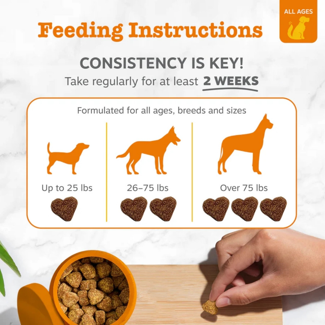 Zesty Paws 90ct Turmeric Curcumin Bites Duck Supplement For Dog image 3