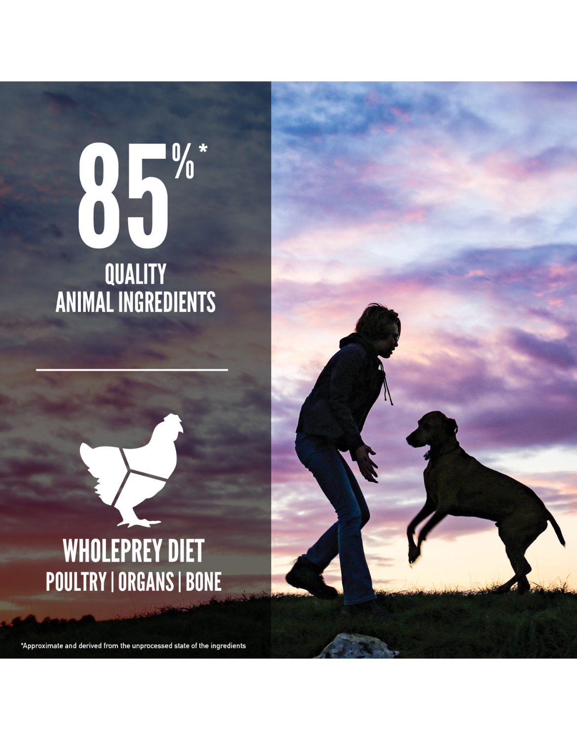 Orijen Dog 11.4kg Puppy Large Breed Dry Dog Food image 3