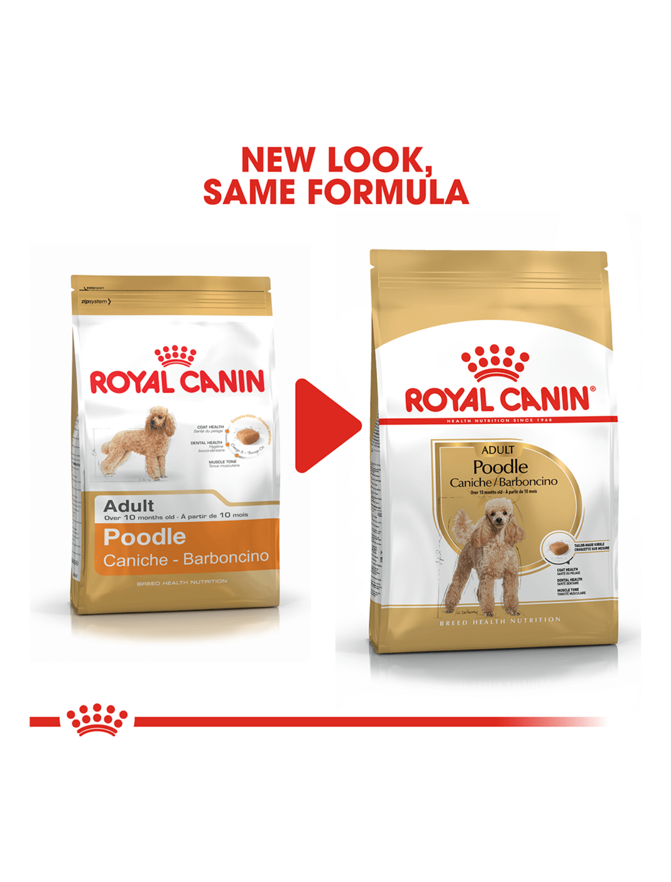Royal Canin Dog 1.5kg Adult Poodle Dry Dog Food image 5