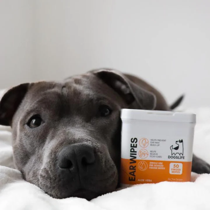 (Ex:p: Nov'24) Dogslife Ear Cleaning Wipes 50 Finger Wipes image 2