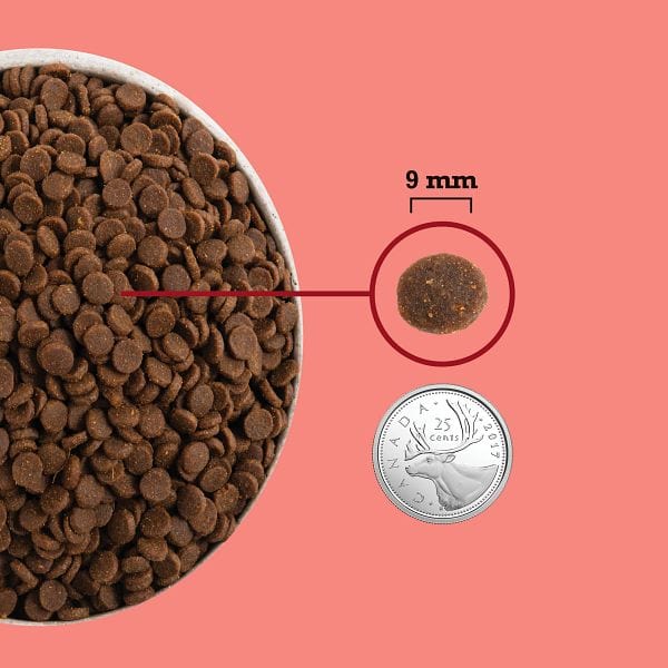 ACANA Cat Indoor 1.8kg Highest Protein Freeze-Dried Infused Dry Cat Food image 6