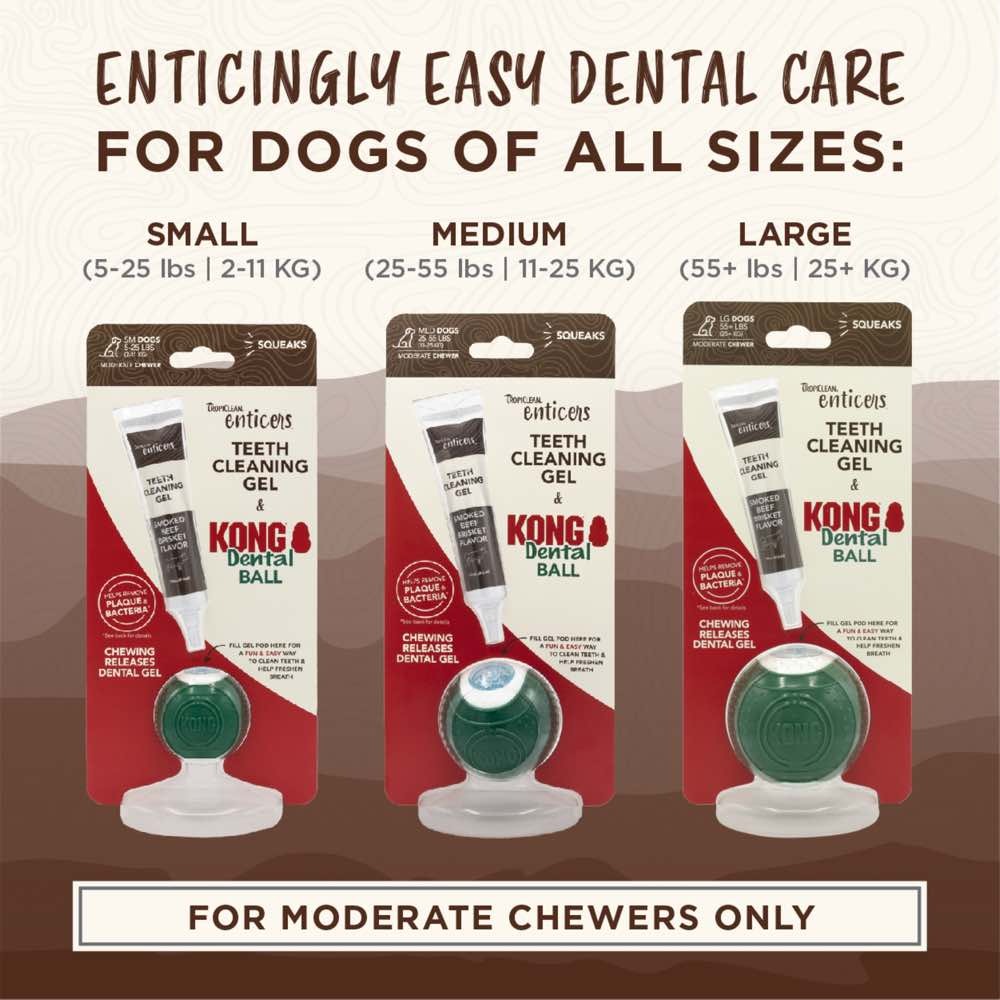 Tropiclean Enticers & Kong Dental Ball Kit Smoked Beef Brisket Medium For Dogs image 5
