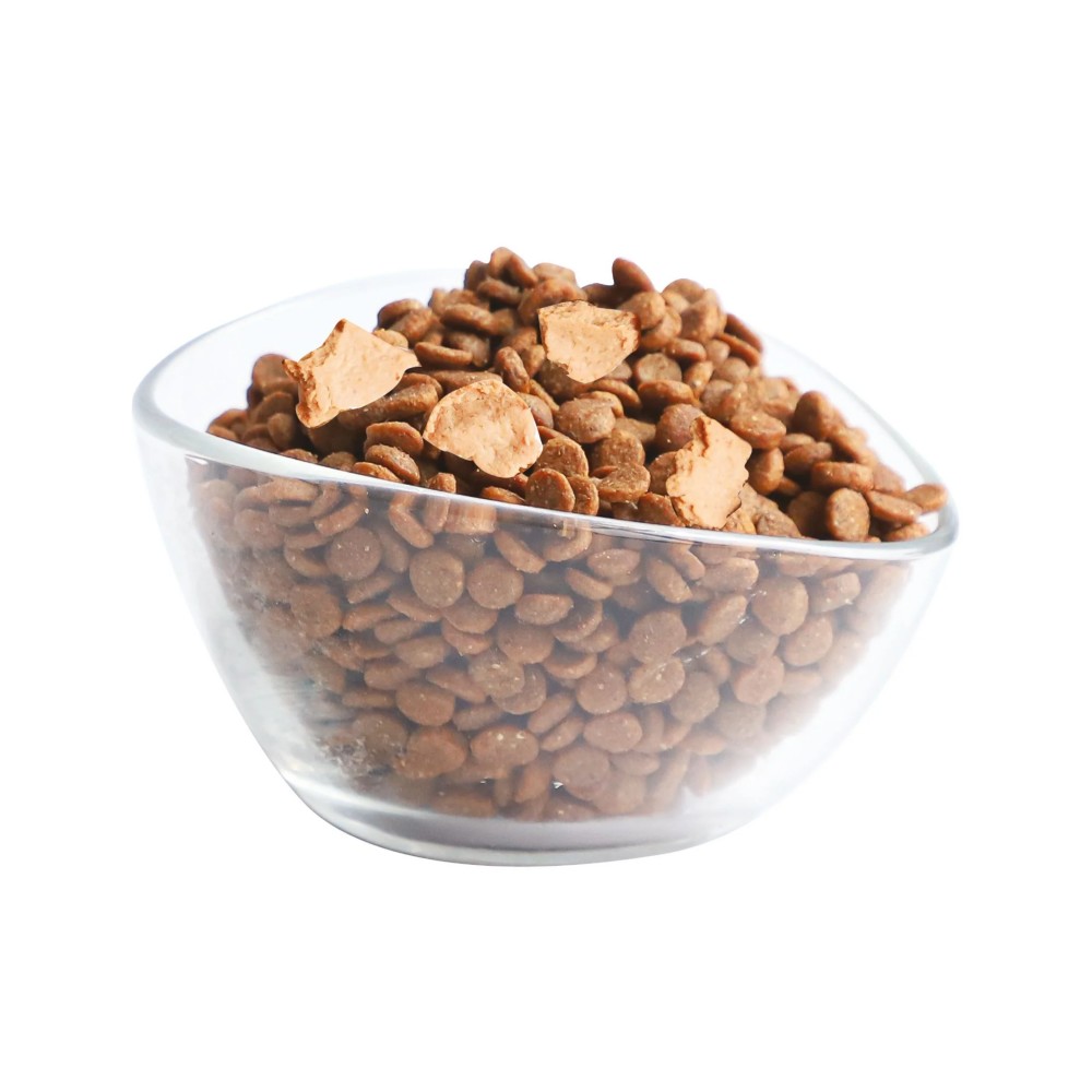 Kit Cat 5kg Premium Chicken Cuisine Dry Cat Food image 2