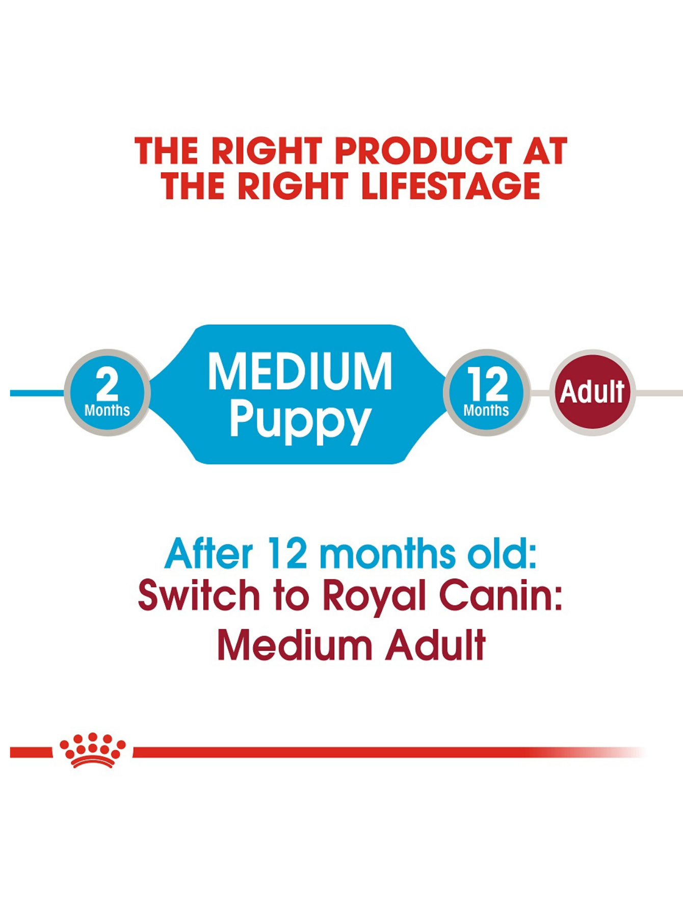 Royal Canin Dog Pouch 140g Medium Puppy Wet Dog Food image 3