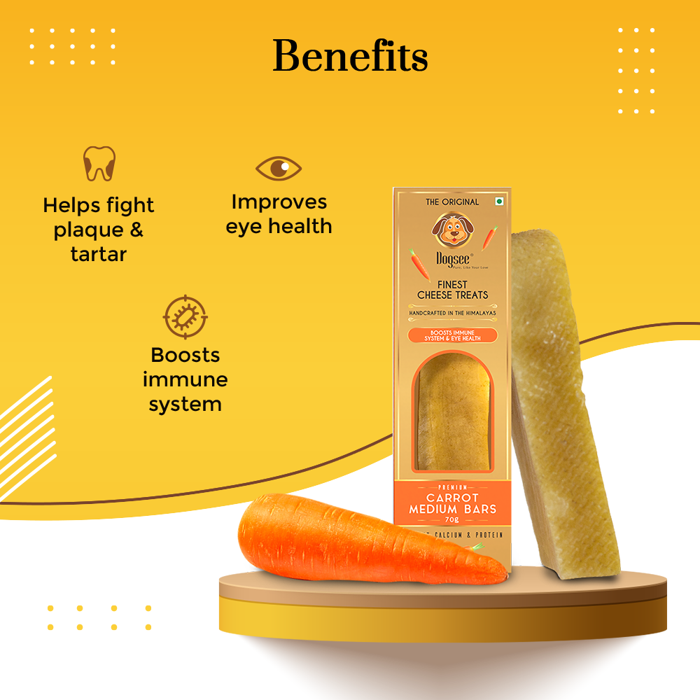 Dogsee Dental Chew Singles Medium Long-lasting Carrot 70g for Medium Dogs image 4