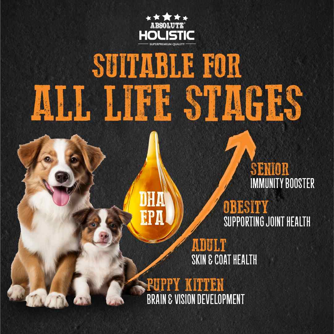 Absolute Holistic 250ml Wild Salmon Fish Oil Natural Pet Supplement for Cats & Dogs image 5