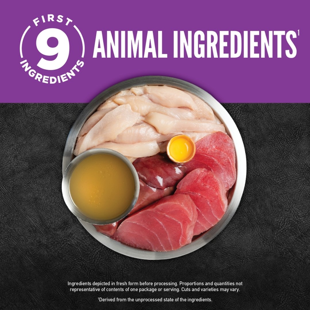 Orijen Cat 85g Chunks & Shreds Kitten Chicken & Tuna Entree Wet Cat Food image 2