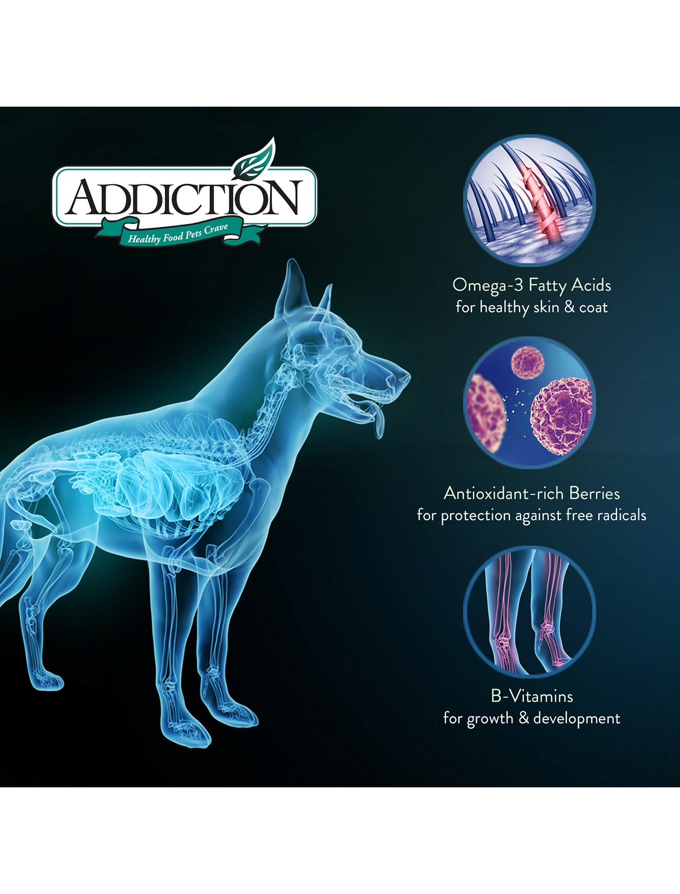 Addiction Dog 20kg Mega Adult Large Breed Dry Dog Food image 5