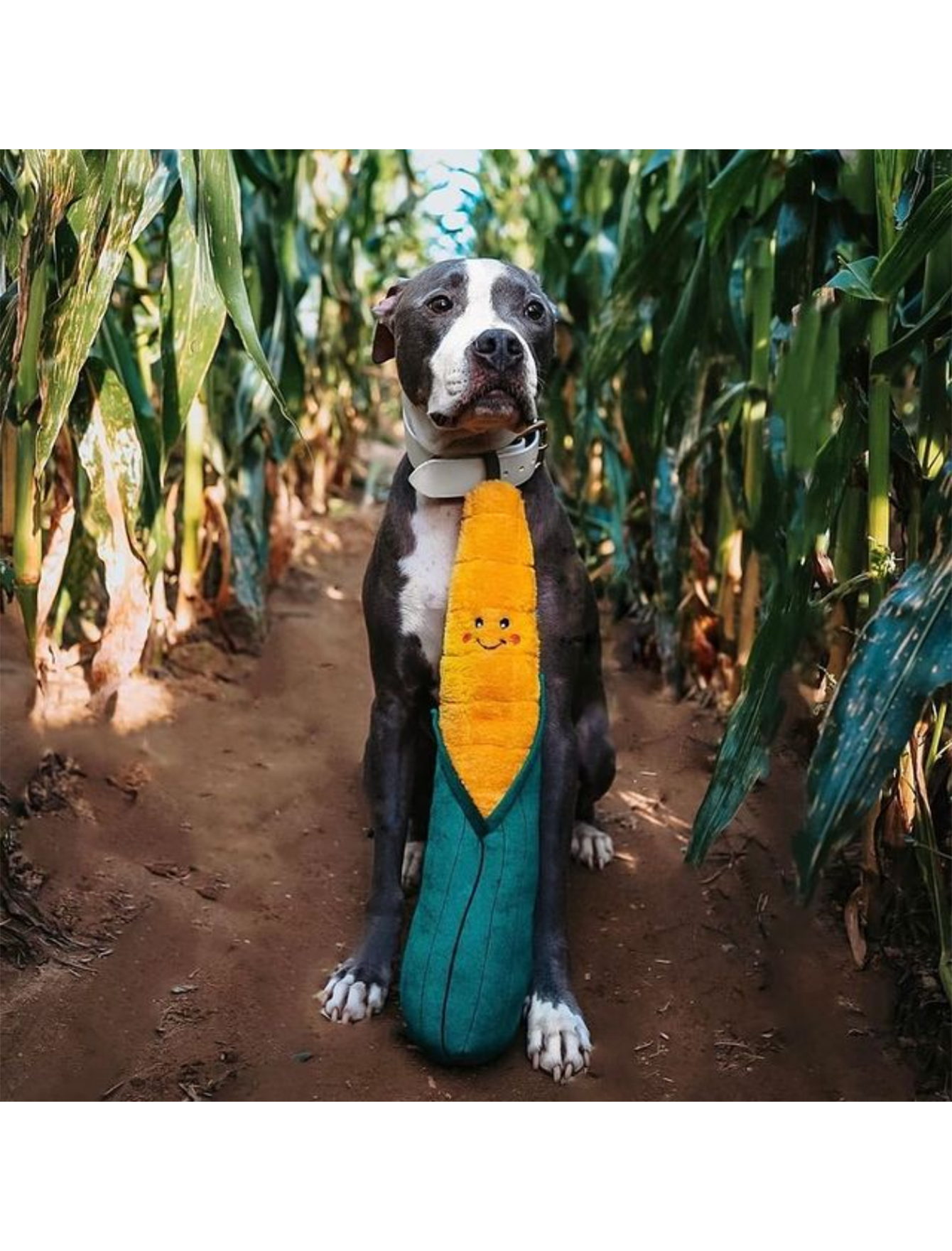 Zippypaws Jigglerz - Banana  image 3