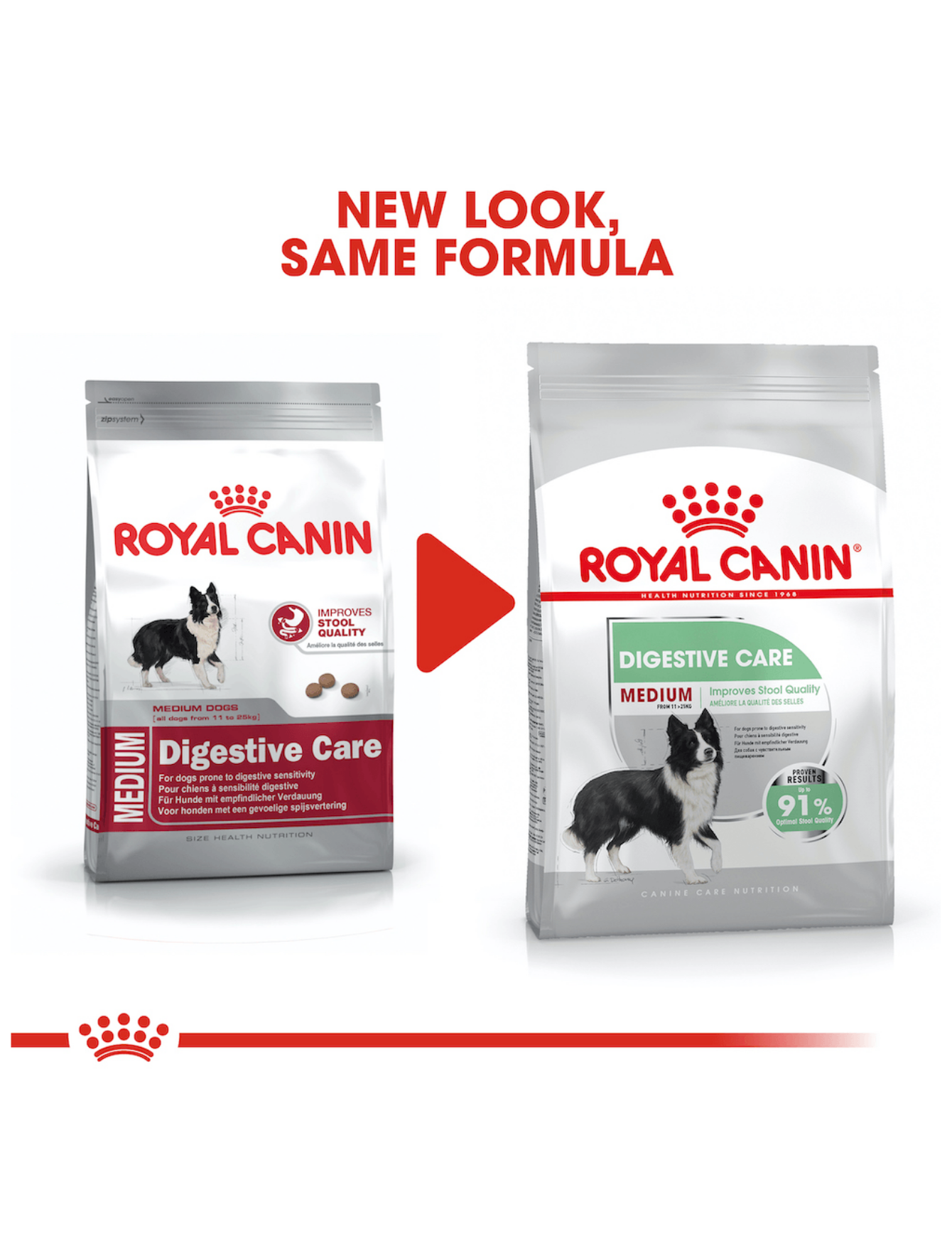 Royal Canin Dog 3kg Medium Digestive Care Dry Dog Food image 3