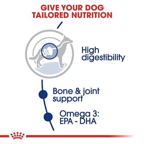 Royal Canin Dog 4kg Maxi Adult Dry Dog Food image 3