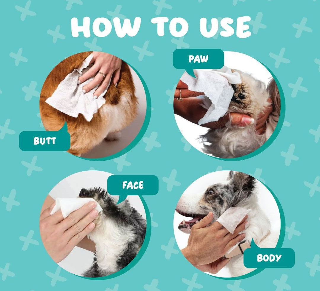 Absorb Plus Antibacterial Pet Wipes 80 Sheets (15cm x 20cm) Baby Powder image 5