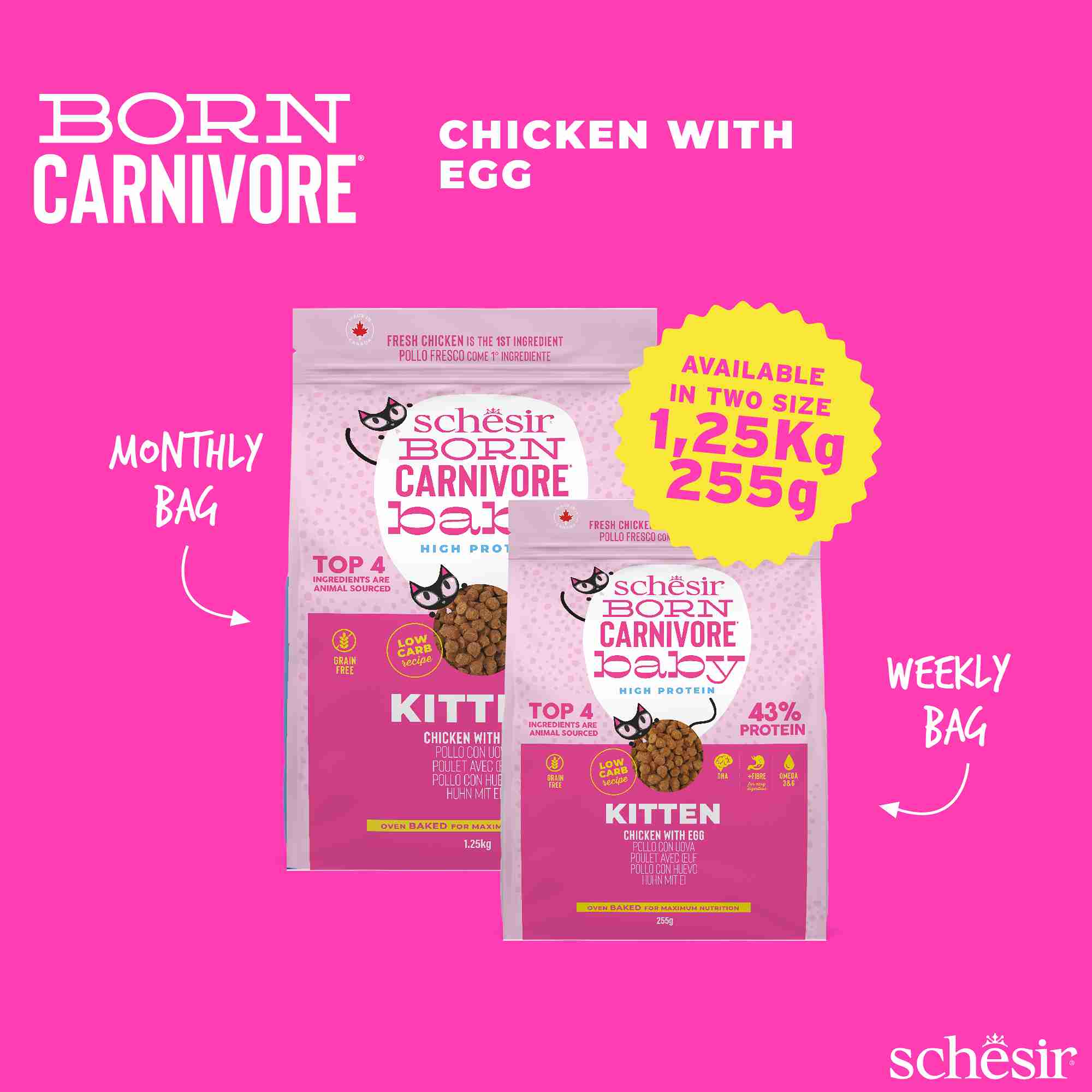 Schesir Cat 2.5kg Born Carnivore Chicken with Egg Baby Cat Baked Dry Recipe Dry Cat Food image 7