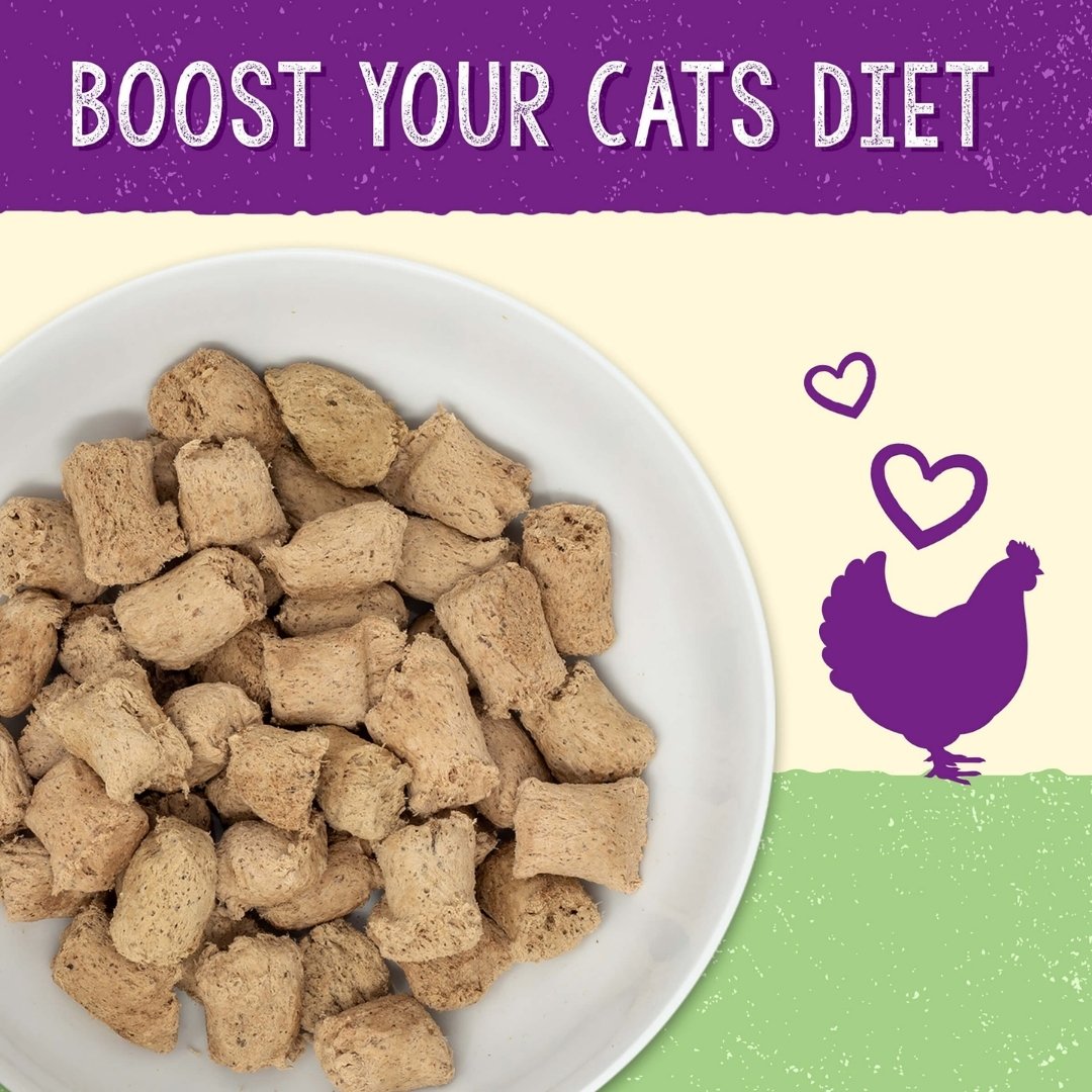 Stella & Chewy's Stella's Solutions Digestive Boost Dinner Mixers For Cats 7.5oz Cage-Free Chicken Recipe image 5