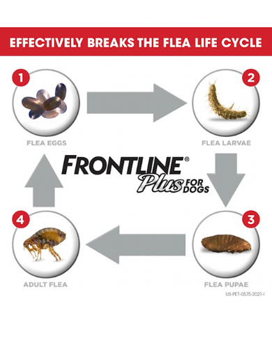Frontline Plus Dog Spot On Extra Large 4.02mlx6 Pipette image 4