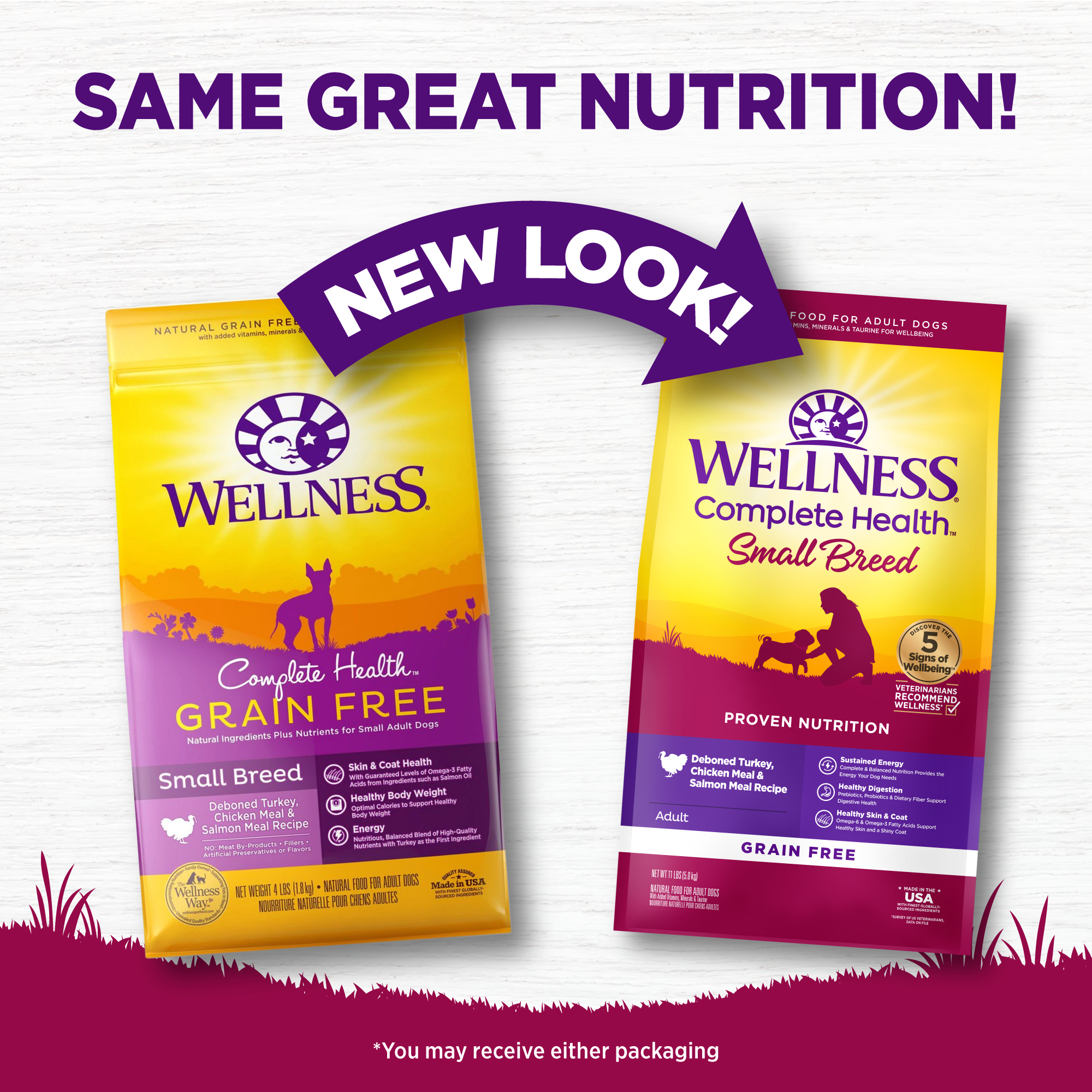 Wellness Complete Health Grain Free 11lb (5kg) Small Breed Deboned Turkey, Chicken Meal & Salmon Meal Dry Dog Food image 5