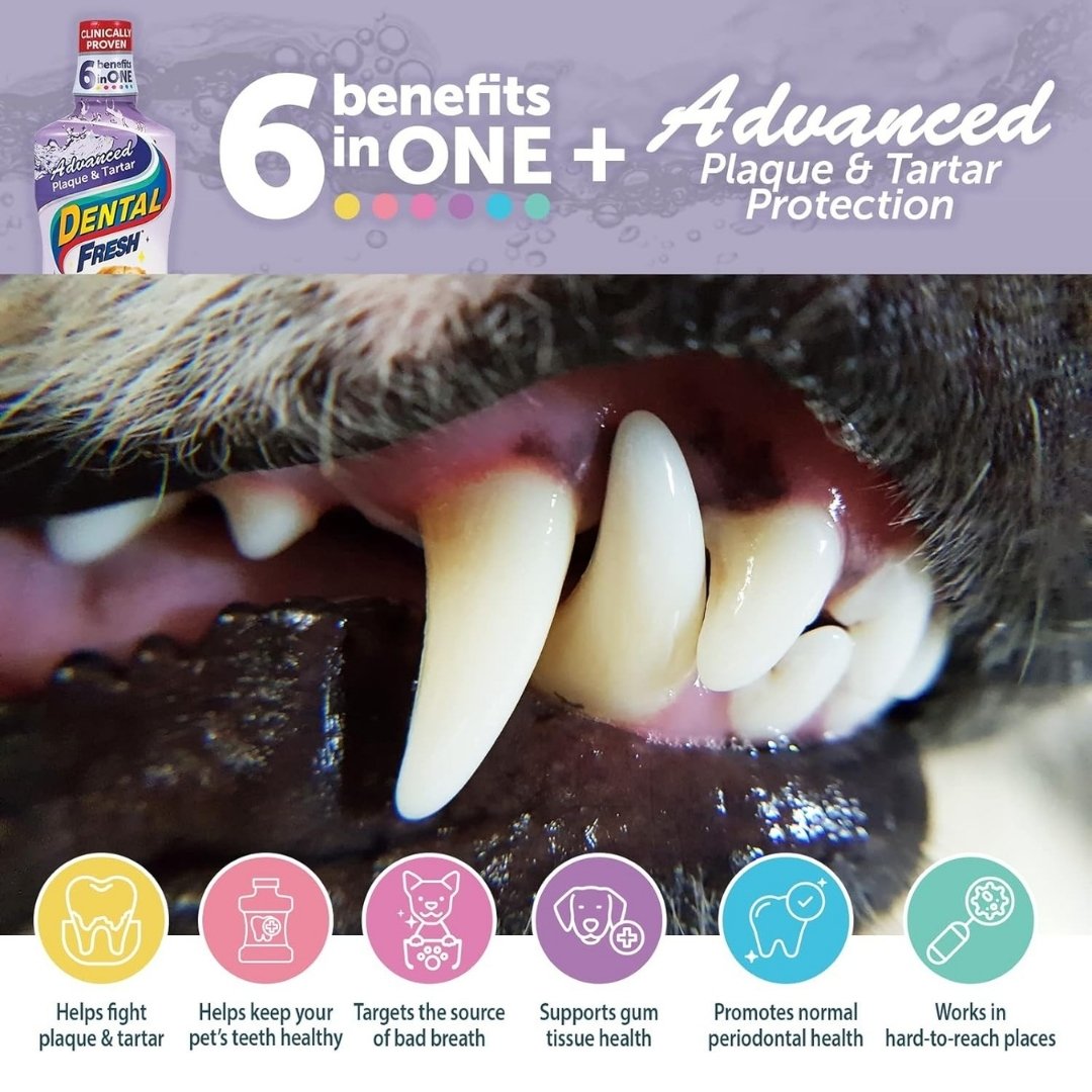 Dental Fresh Water Additive Advanced Plaque & Tartar For Dogs 236ml image 5