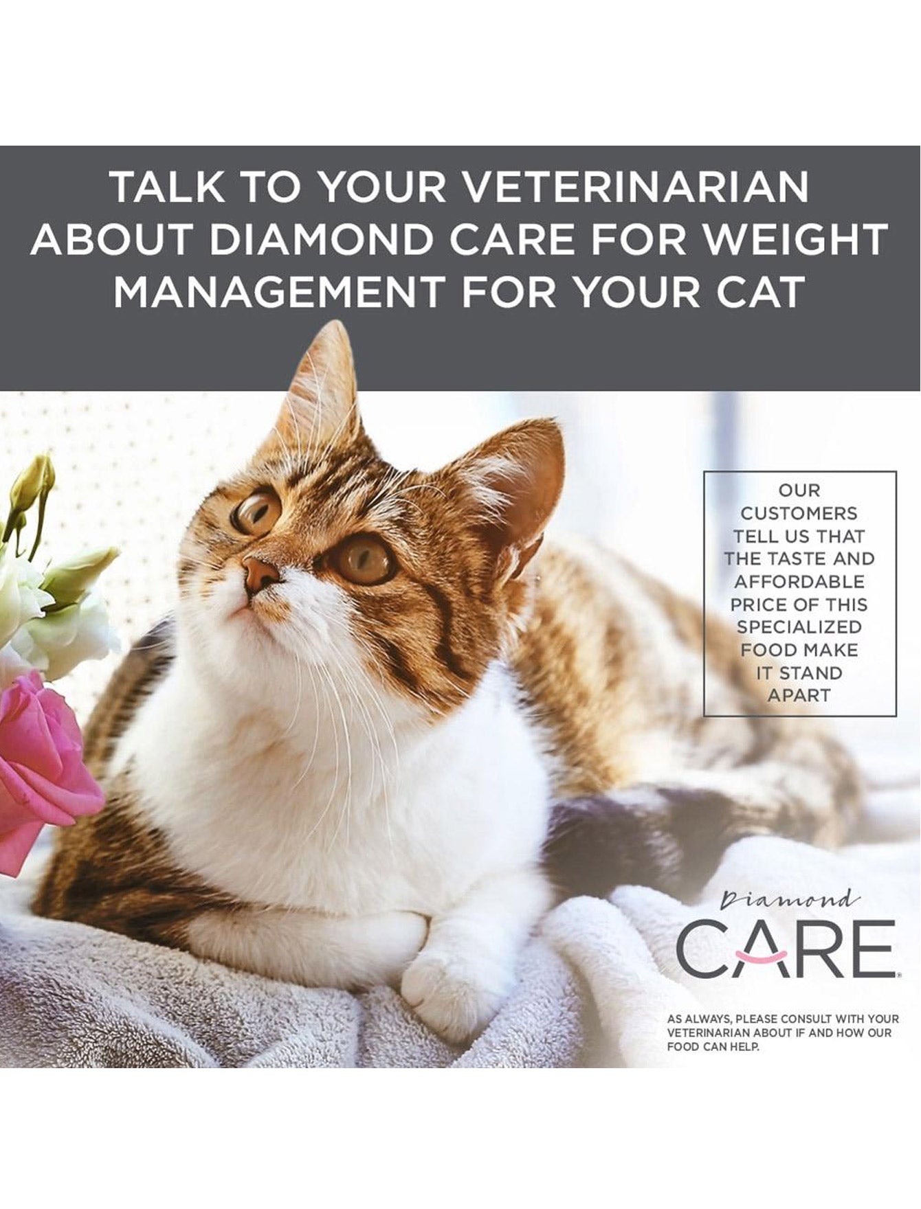 Diamond Care Cat 6lbs Weight Management Formula For Adult Dry Cat Food image 5