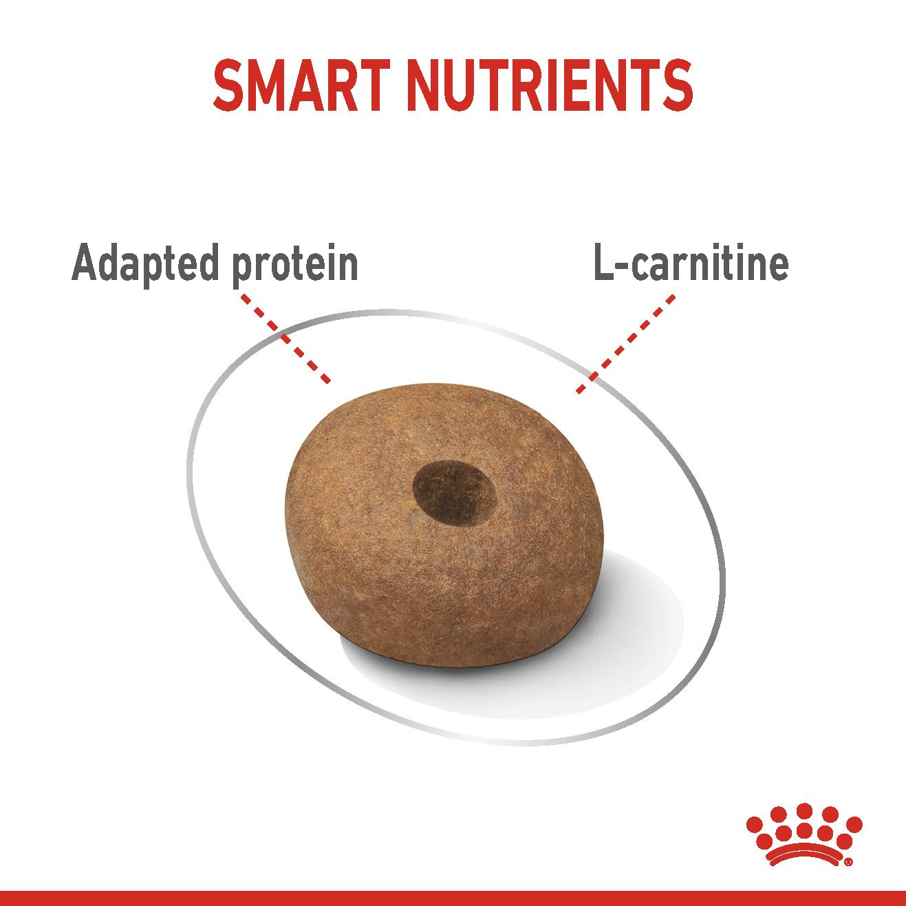 Royal Canin Dog 3kg Light Weight Care Dry Dog Food image 3