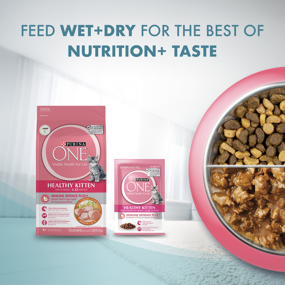 PURINA ONE Cat 1.2kg Healthy Kitten with Chicken Dry Cat Food image 11
