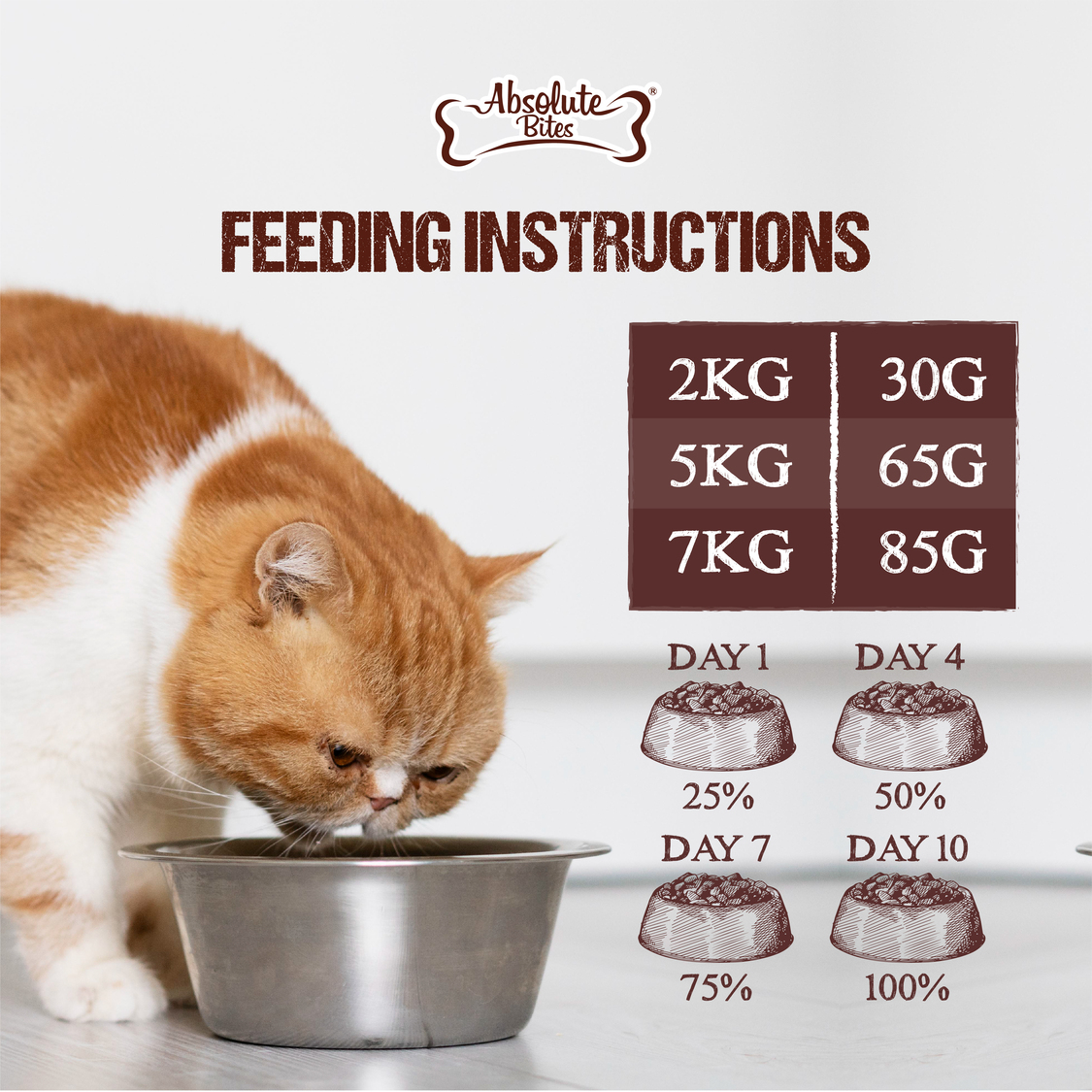 Absolute Bites Cat 150g Raw Chunks Freeze Dried Raw Food Salmon Recipes Dry Cat Food image 5