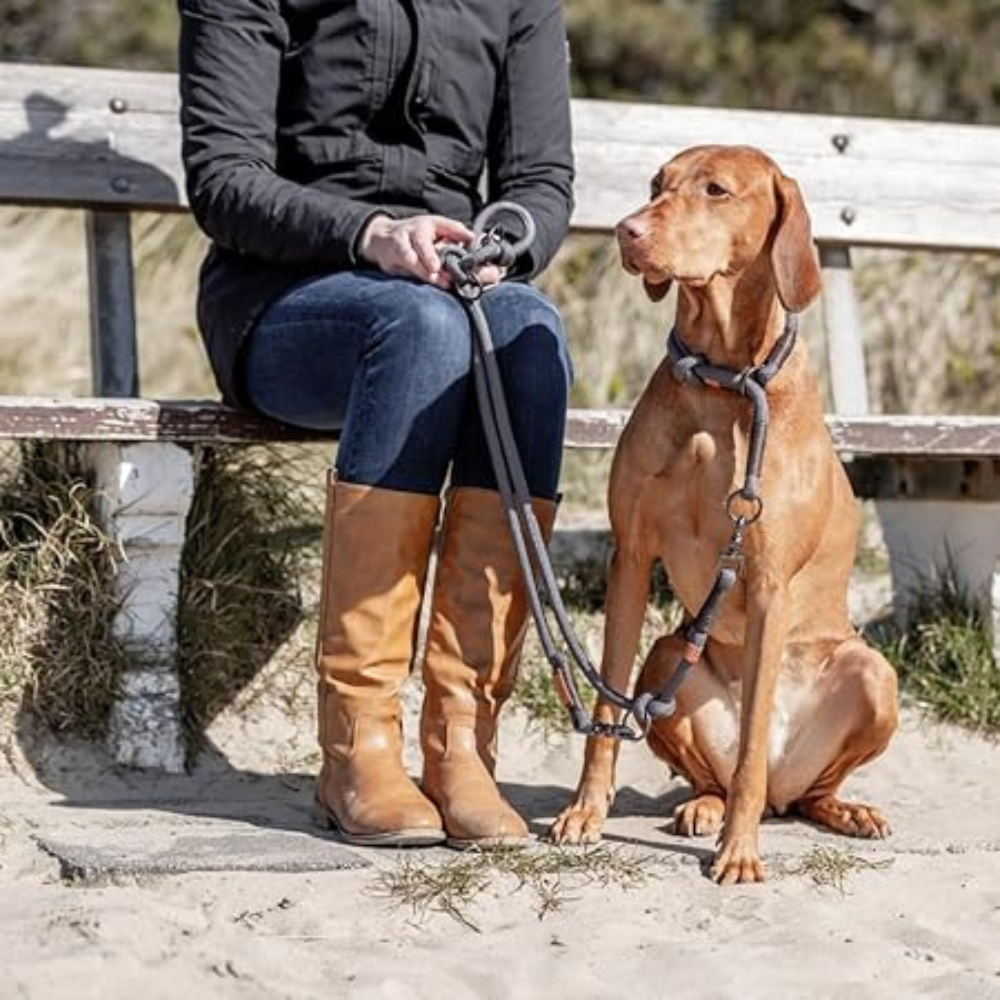 Trixie BE NORDIC Adjustable Leash for Dogs Dark Grey/Brown L–XL: 2.00 m/ø 13 mm image 4