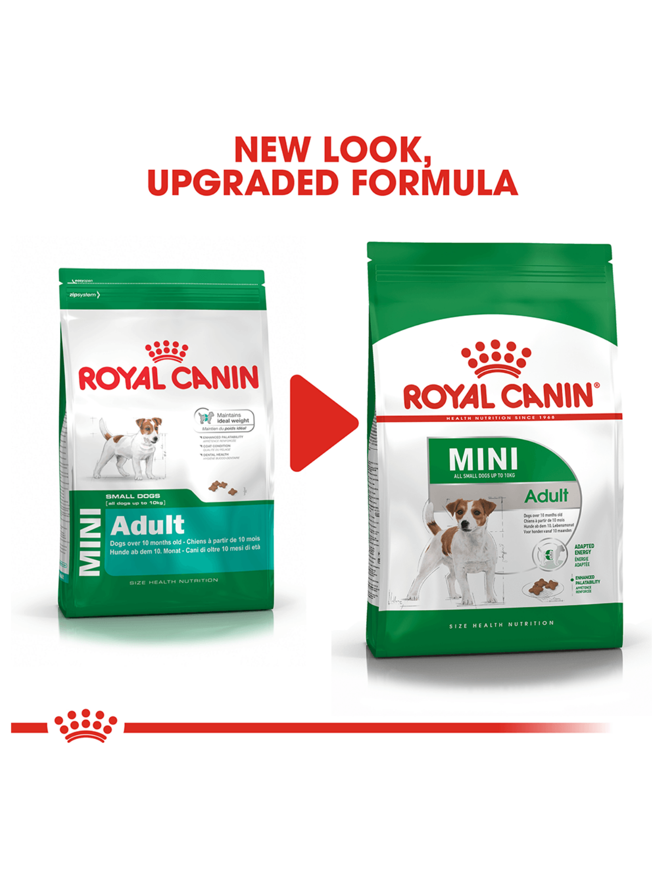 Royal Canin Dog 4kg Mini Adult Dry Dog Food image 3