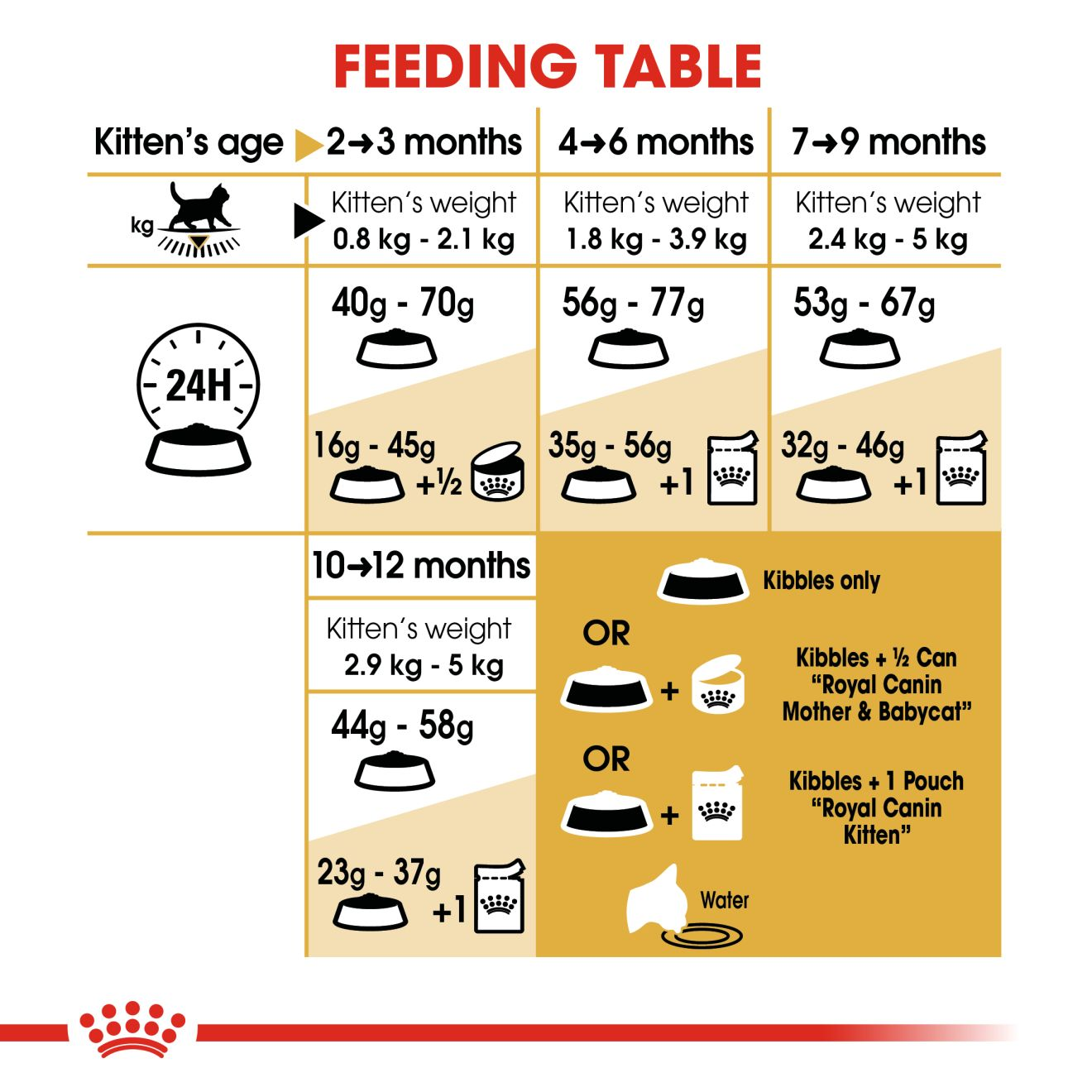 Royal Canin Cat 400g Kitten British Shorthair Dry Cat Food image 6