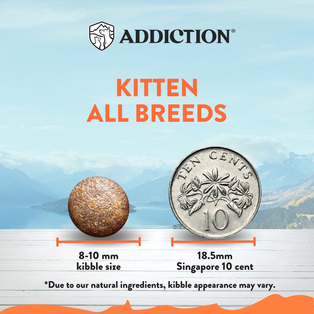 Addiction Cat 1.8kg Chicken Supreme Kitten Complete & Balanced Immune Boost Dry Cat Food image 3