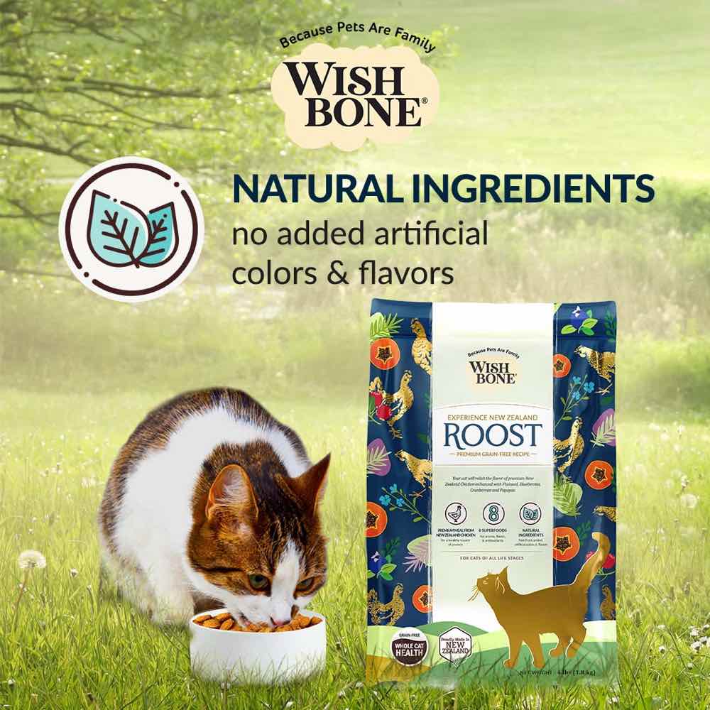 Wishbone Cat 4lb Roost Chicken Whole Pet Health w/8 Superfoods Dry Cat Food image 5