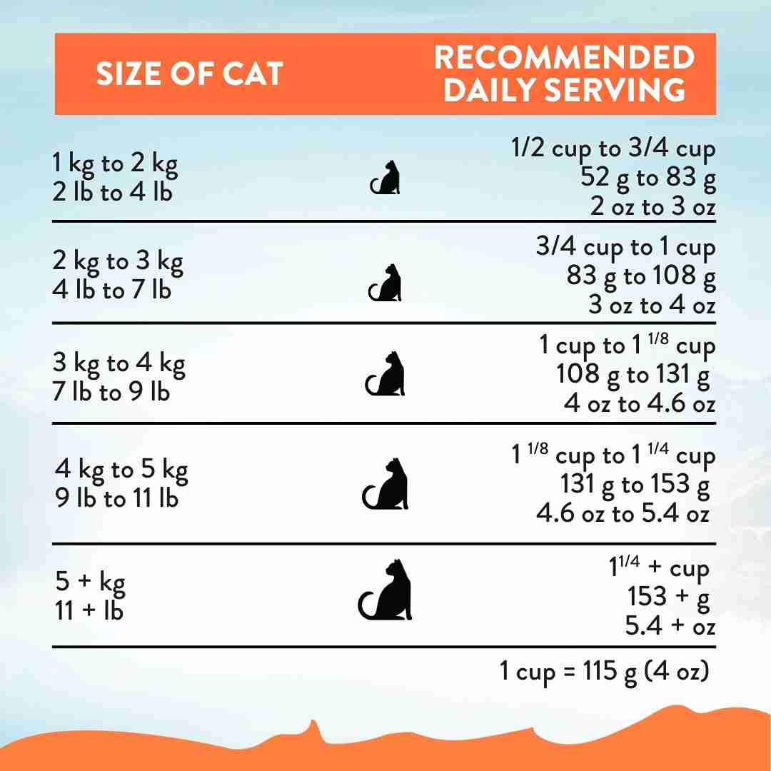 Addiction Cat 1.8kg Chicken Supreme Kitten Complete & Balanced Immune Boost Dry Cat Food image 6