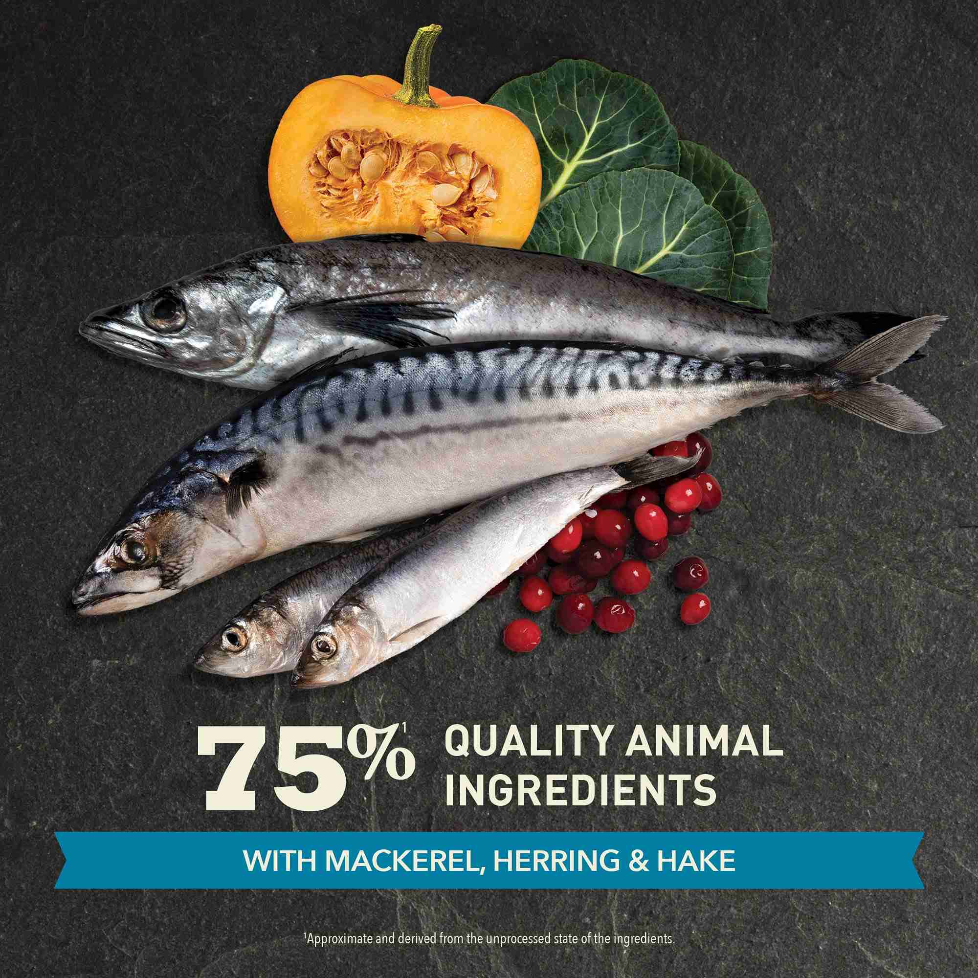 Acana Cat Regionals 340g Pacifica Dry Cat Food image 4