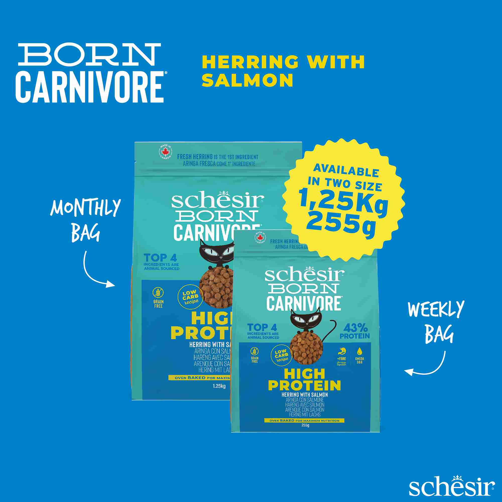 Schesir Cat 2.5kg Born Carnivore Herring with Salmon Baked Dry Recipe Dry Cat Food image 4