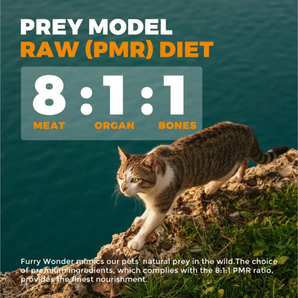 Furry Wonder GROW & THRIVE Freeze-dried Raw Duck & Chicken Recipe For Cats 16oz (453g) image 5