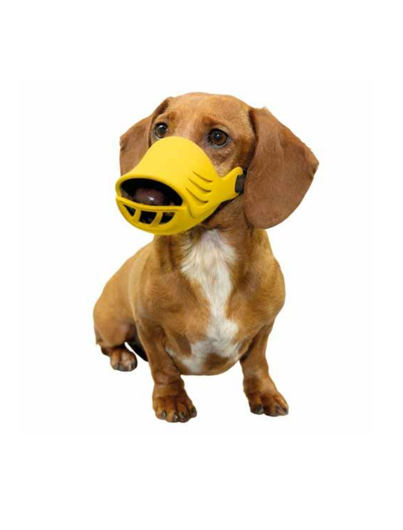 Artero Silicone Dog Muzzle Yellow Small image 2