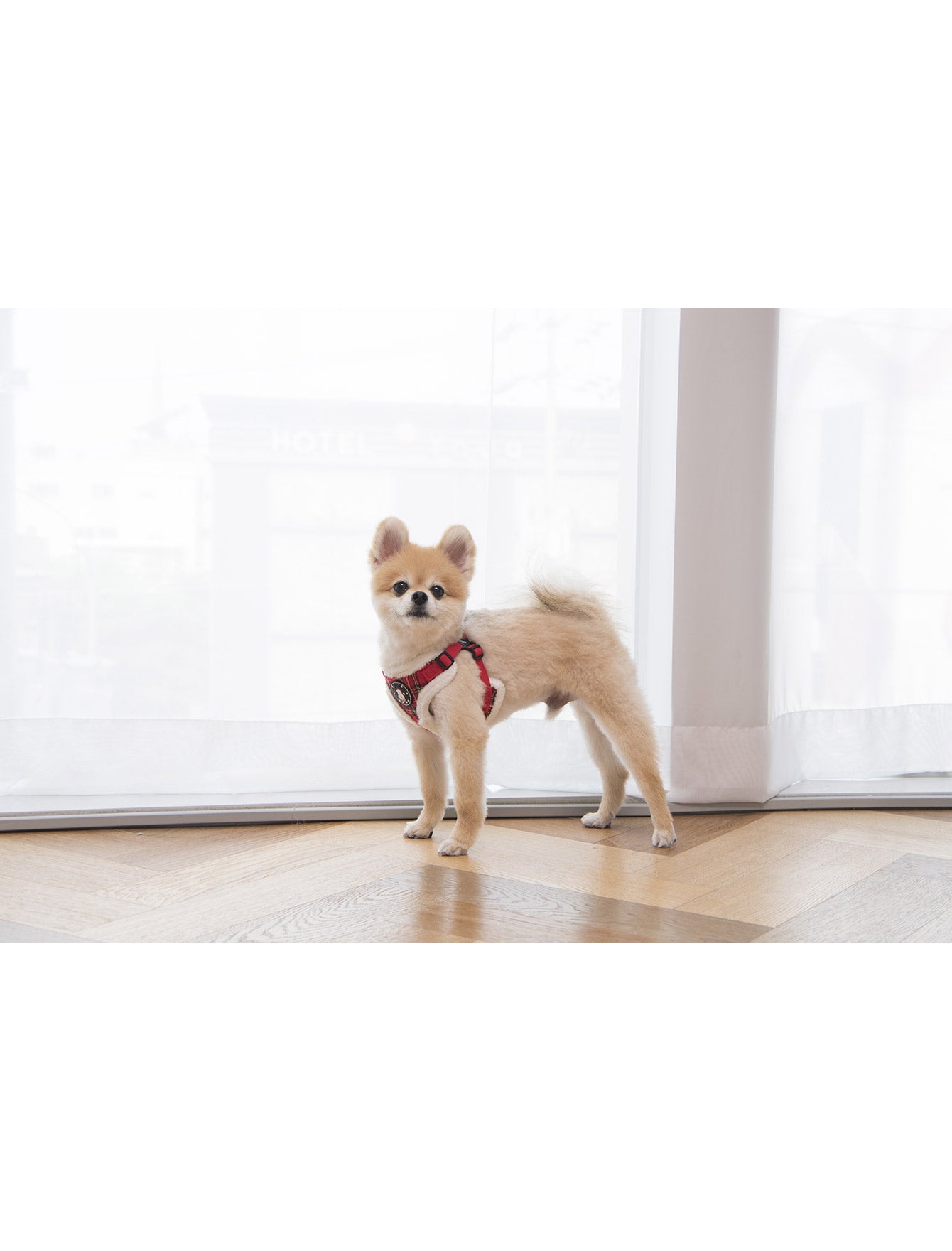 Puppia Blitzen Red Christmas X- Harness for Dogs Medium image 5