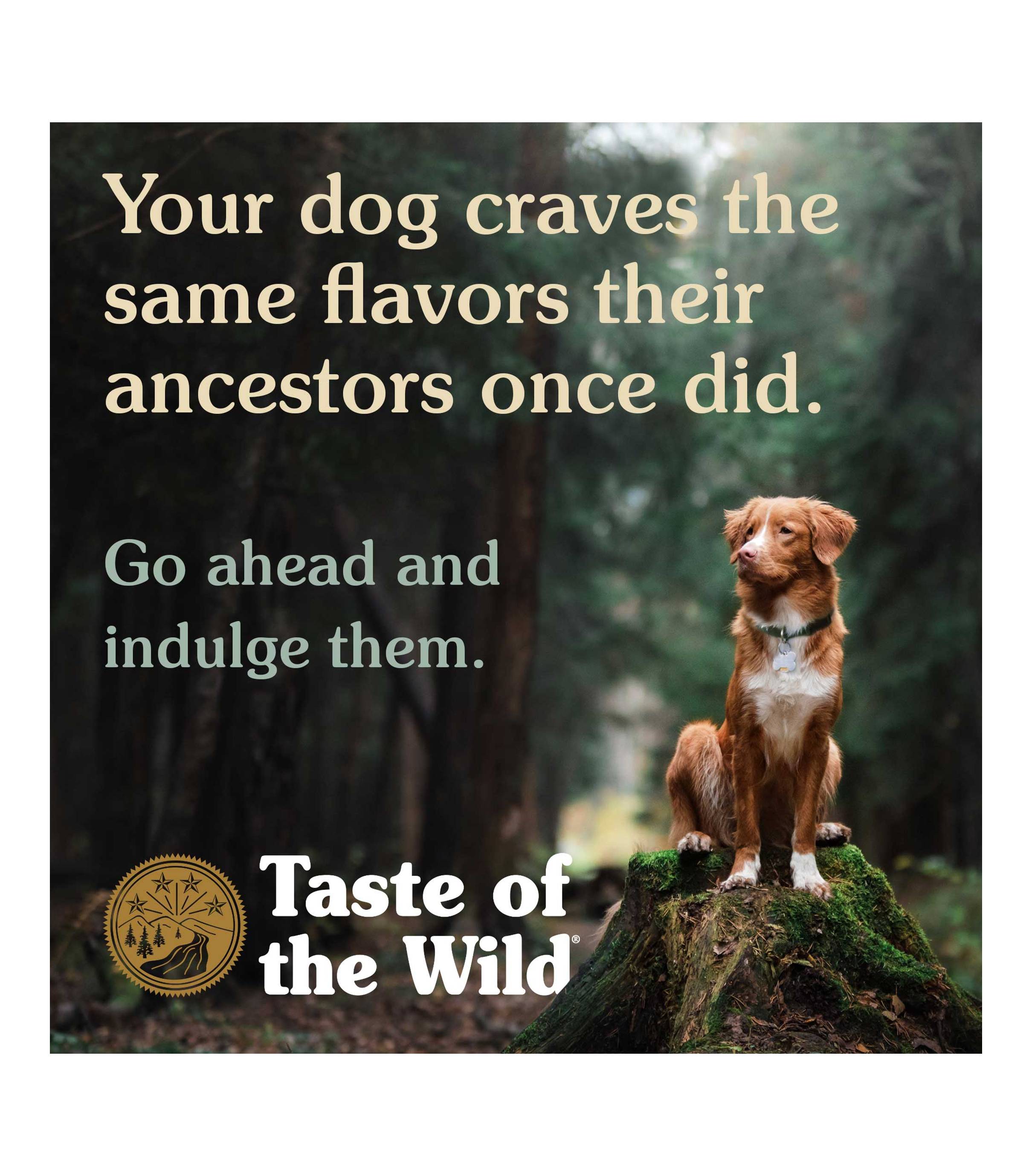 Taste of the Wild Dog 390g Pacific Stream with Salmon in Gravy Wet Canned Food image 4