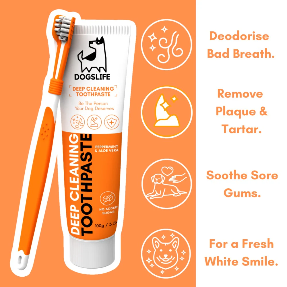 Dogslife Dental Care Kit 100g Deep Cleansing Toothpaste image 7