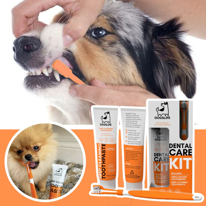 Dogslife Dental Care Kit 100g Deep Cleansing Toothpaste image 5